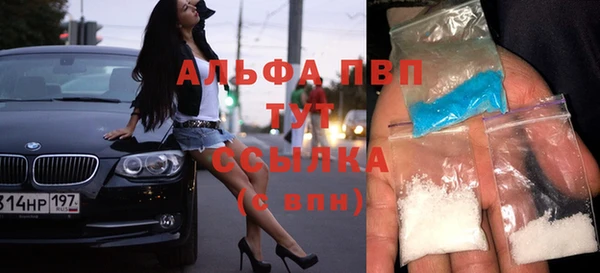 spice Богородск