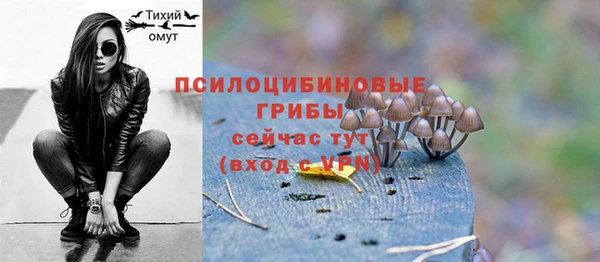 COCAINE Богородицк