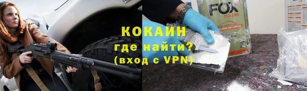 твердый Богданович
