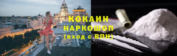 spice Богородск