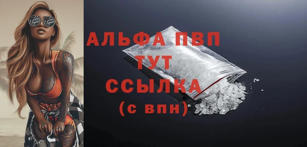 твердый Богданович