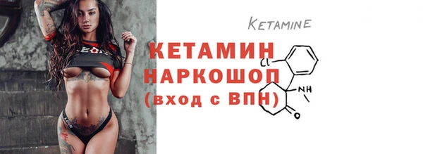 твердый Богданович