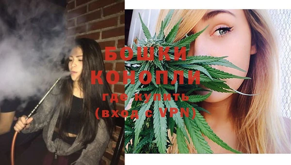 spice Богородск