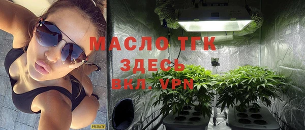 spice Богородск