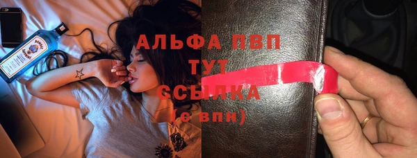 твердый Богданович
