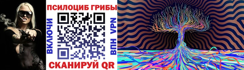 Купить  Североуральск  Галлюциногенные грибы Cubensis 